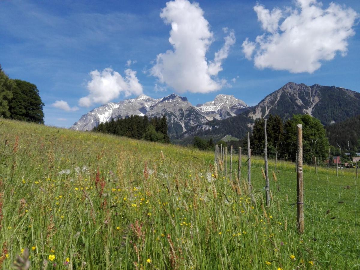 Haslehnerhof Villa Ramsau am Dachstein Kültér fotó