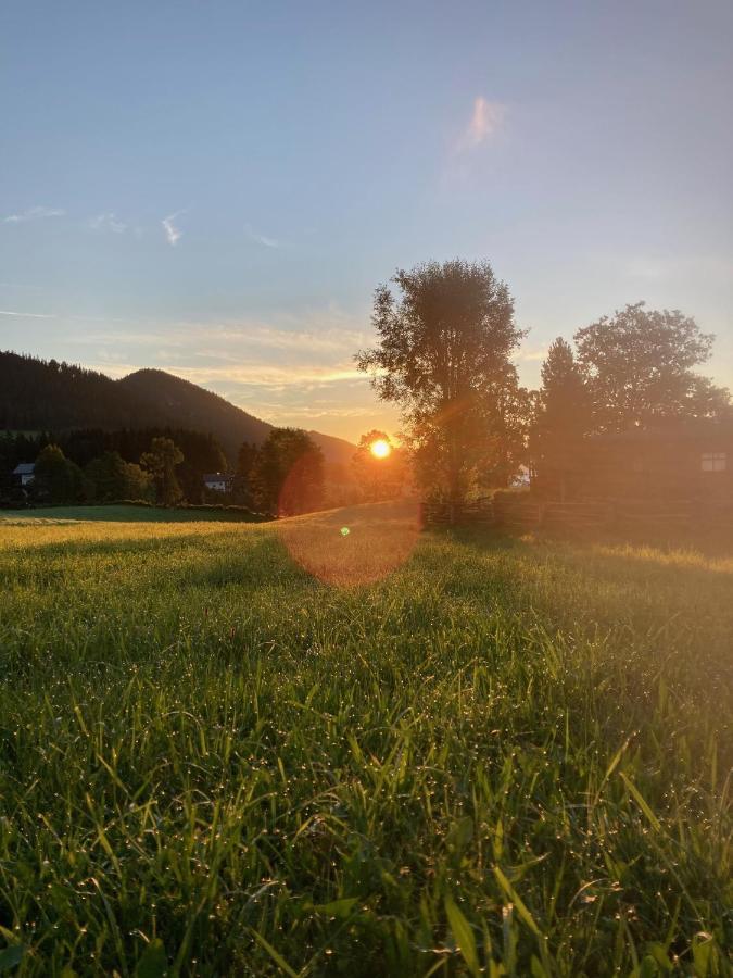 Haslehnerhof Villa Ramsau am Dachstein Kültér fotó