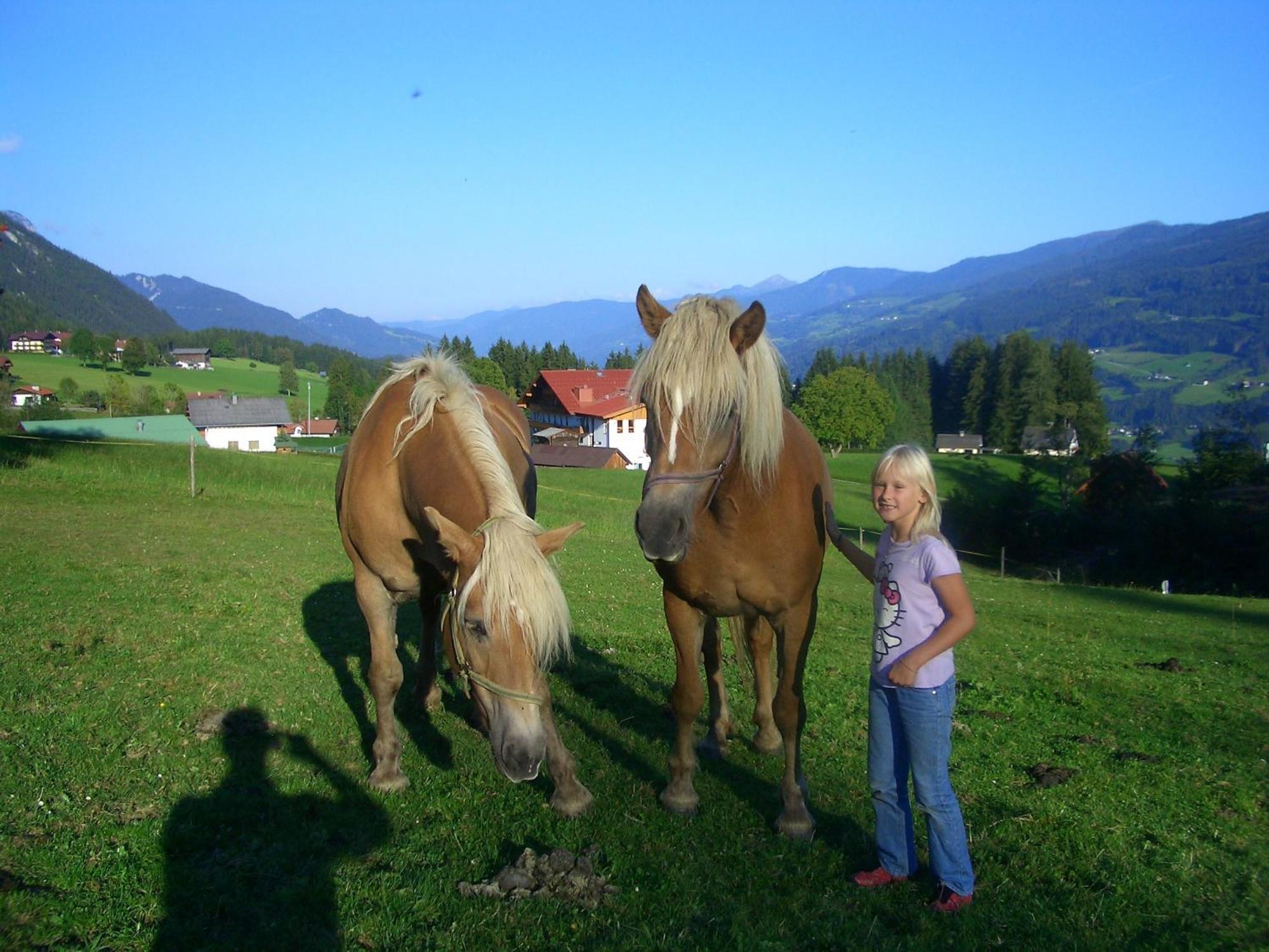 Haslehnerhof Villa Ramsau am Dachstein Kültér fotó
