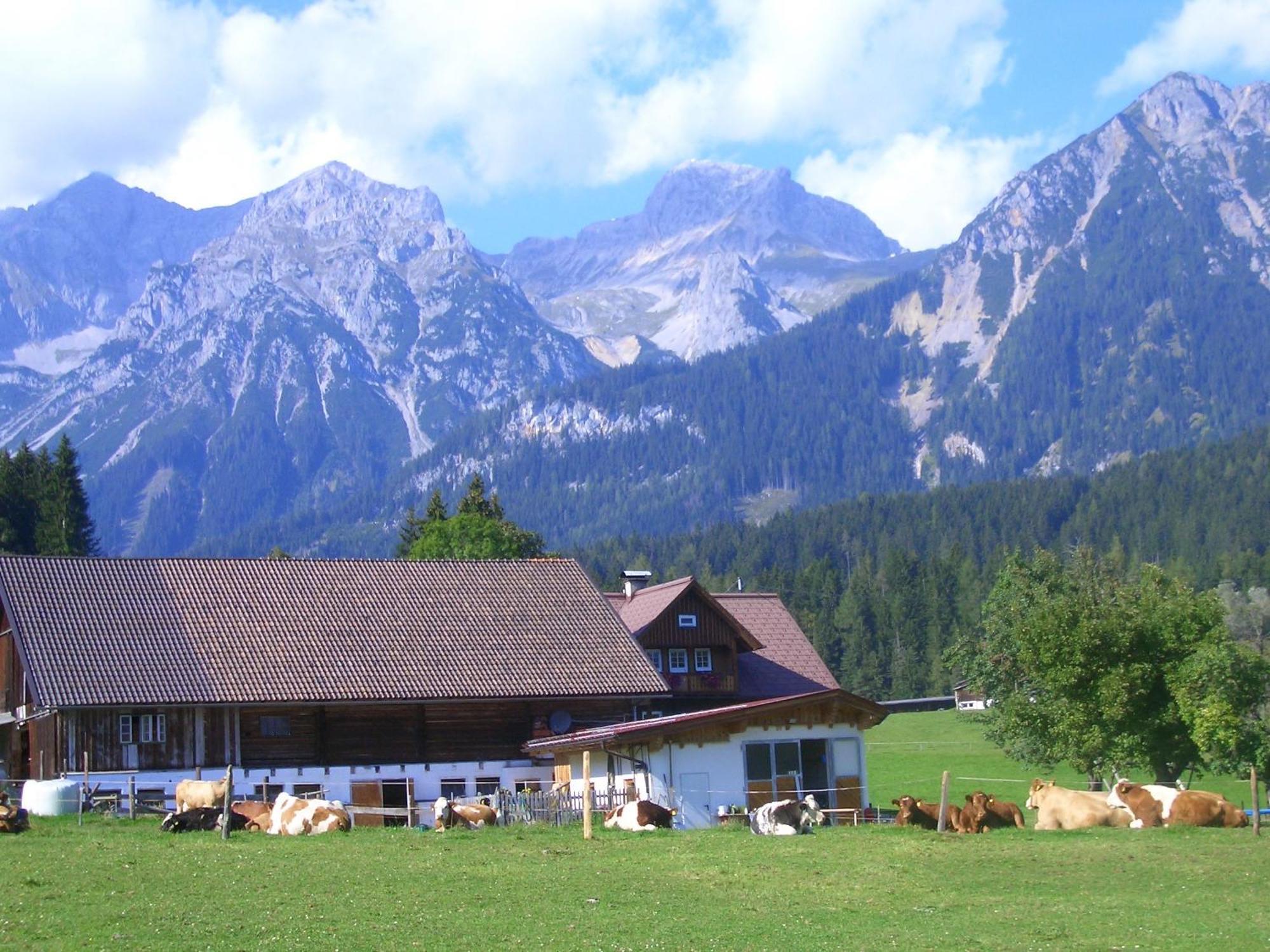 Haslehnerhof Villa Ramsau am Dachstein Kültér fotó